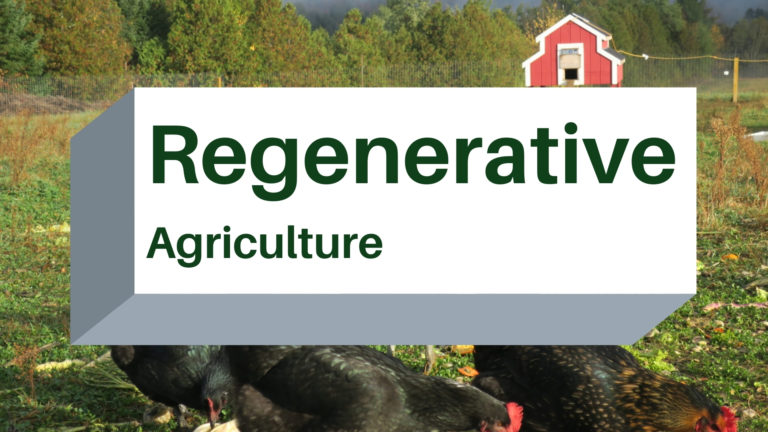 Regenerative agriculture blog cover