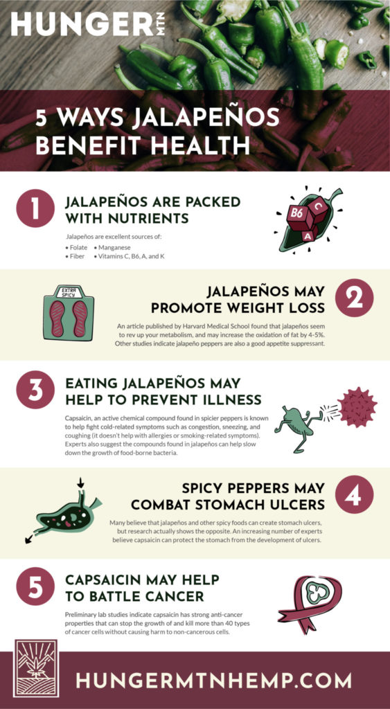 jalapeno benefits infographic