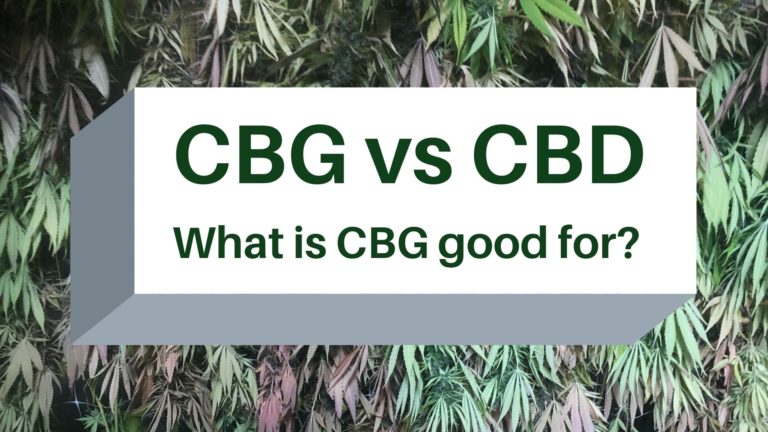 CBG vs CBD - what is CBG good for? Blog title image