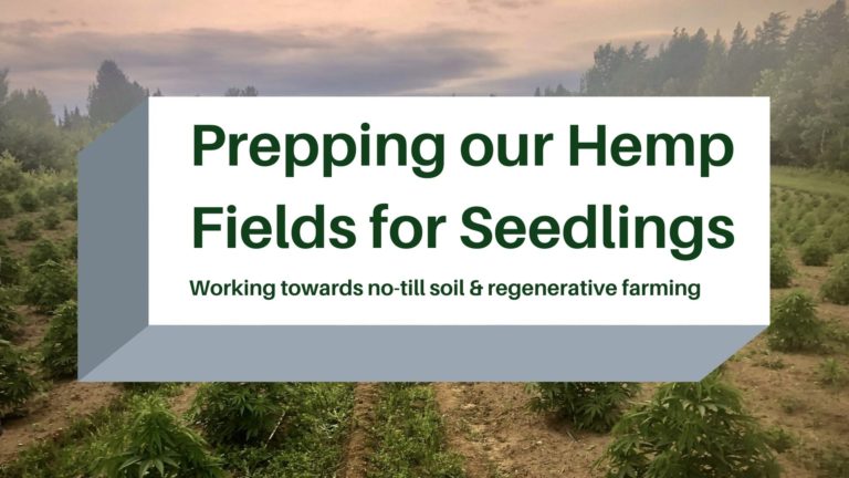 Prepping our Hemp Fields for Seedlings blog post cover