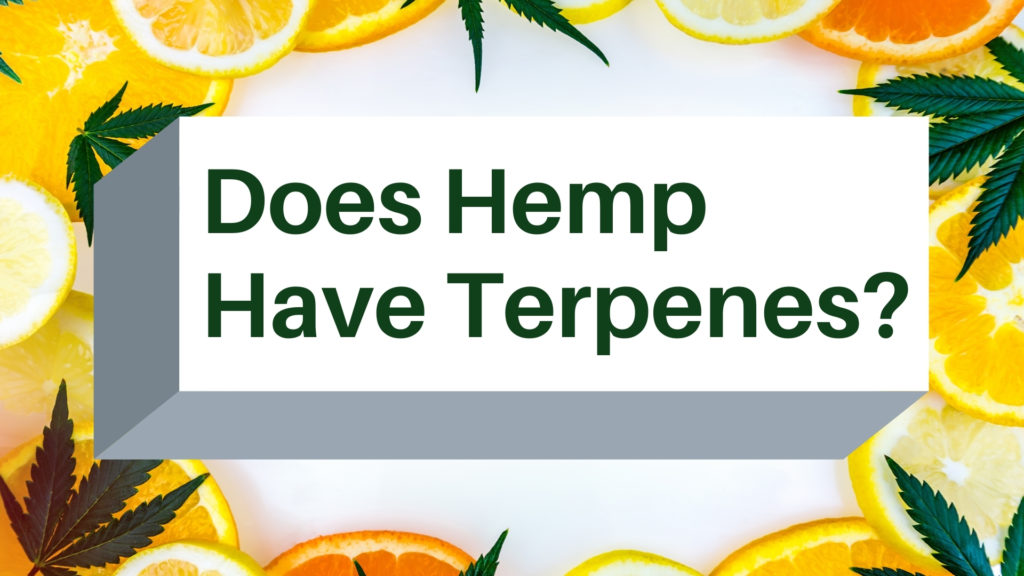 Does Hemp Have Terpenes? Hunger Mountain Hemp