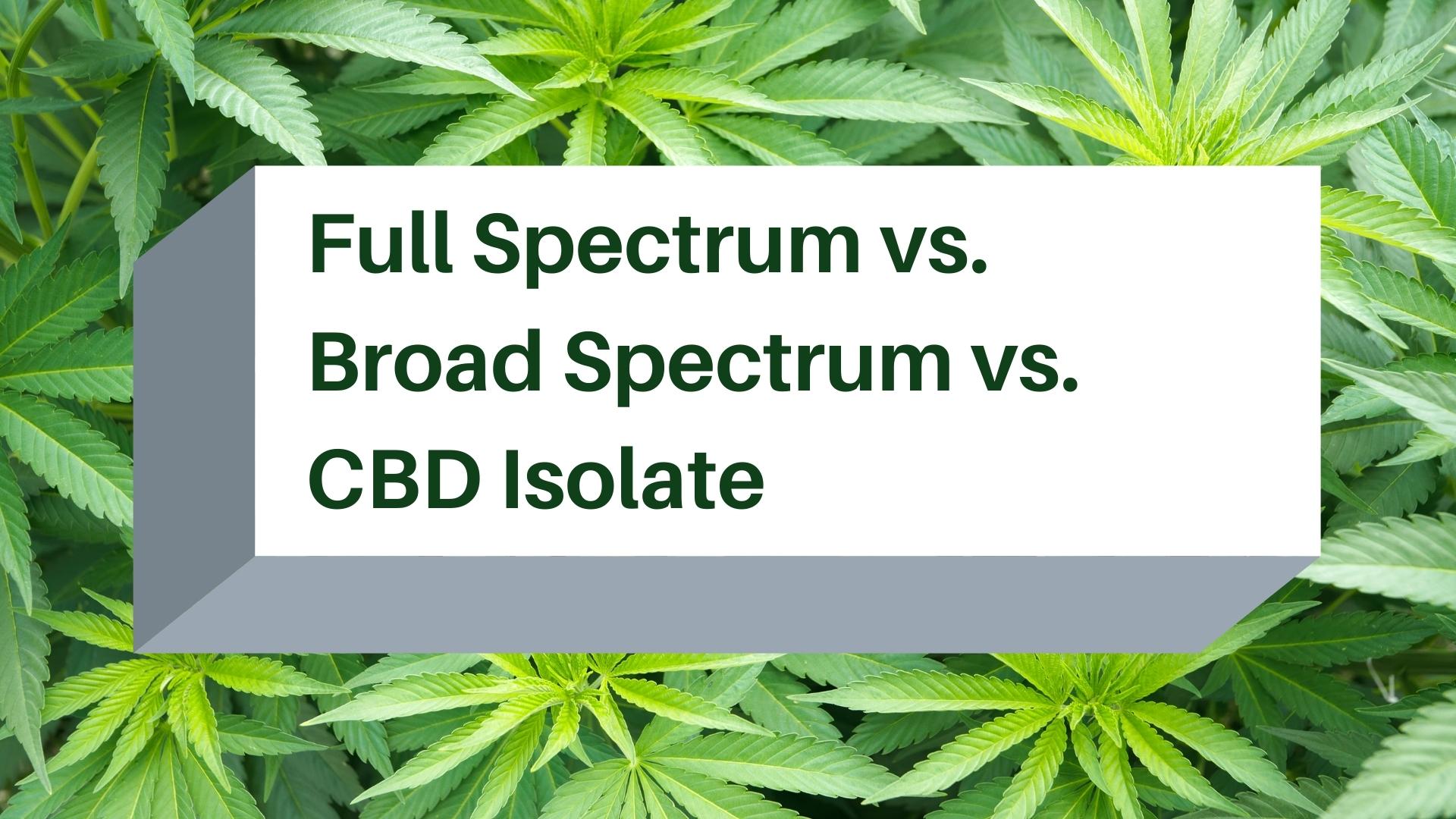 Full Spectrum vs. Broad Spectrum vs. CBD Isolate Blog Cover