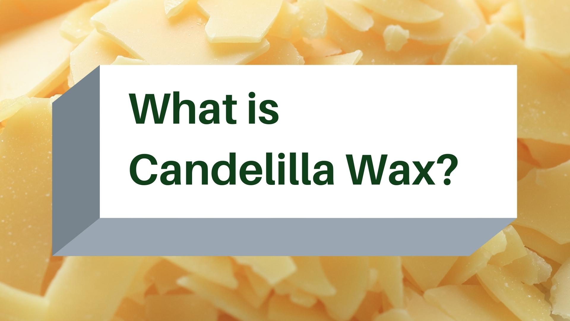 Candelilla Wax