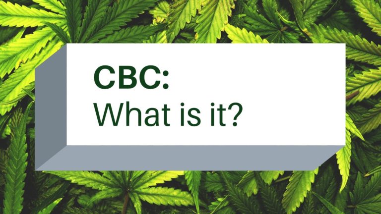 What is CBC?